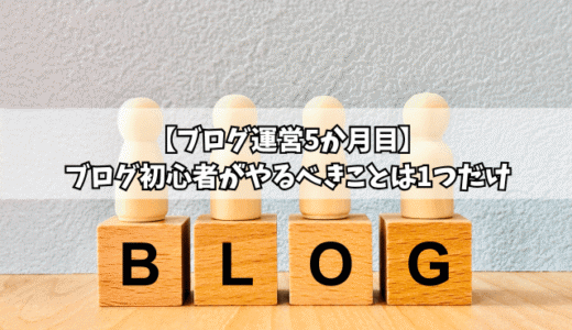 【ブログ運営5か月目】ブログ初心者がやるべきことは１つだけ